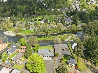 What an incredible river front property - ASTOUNDING views and - photo 46
