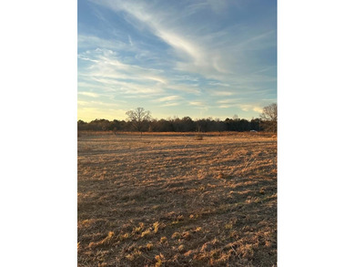Mostly cleared beautiful UNRESTRICTED land that is high and dry - photo 1