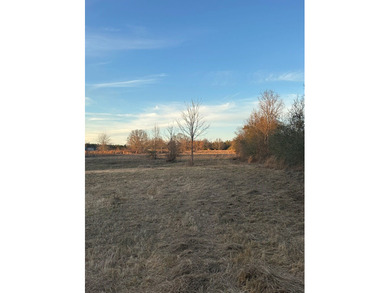 Mostly cleared beautiful UNRESTRICTED land that is high and dry - photo 2