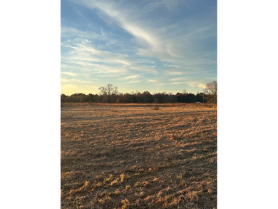 Mostly cleared beautiful UNRESTRICTED land that is high and dry - photo 3