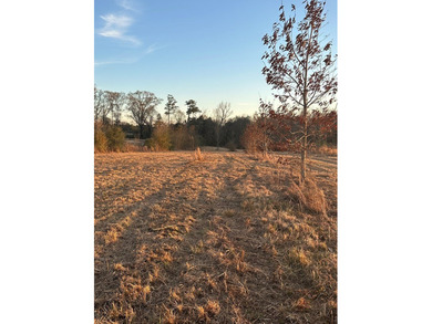 Mostly cleared beautiful UNRESTRICTED land that is high and dry - photo 4