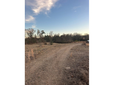 Mostly cleared beautiful UNRESTRICTED land that is high and dry - photo 6