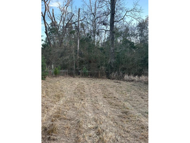 Mostly cleared beautiful UNRESTRICTED land that is high and dry - photo 7