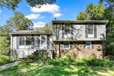 Lake Home For Sale in West Milford, New Jersey