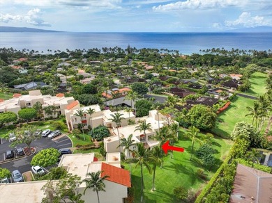 Wailea Palms 3507 is an exquisitely remodeled 2-bedroom - photo 37