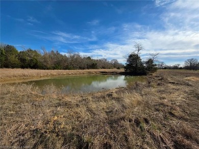 (private lake, pond, creek) Commercial For Sale in Moyers Oklahoma