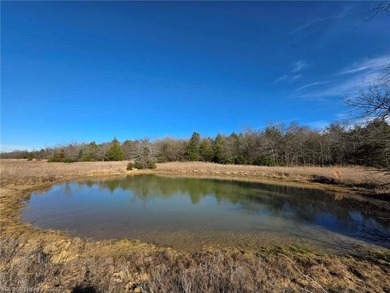 ** OWNER FINANCING AVAILABLE** This 11.5 acre Kiamichi Mountain - photo 2
