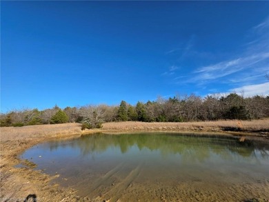 ** OWNER FINANCING AVAILABLE** This 11.5 acre Kiamichi Mountain - photo 3