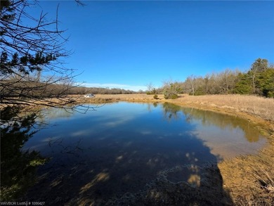 ** OWNER FINANCING AVAILABLE** This 11.5 acre Kiamichi Mountain - photo 4