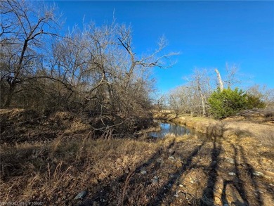 ** OWNER FINANCING AVAILABLE** This 11.5 acre Kiamichi Mountain - photo 9