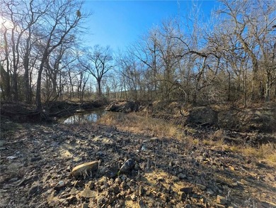 ** OWNER FINANCING AVAILABLE** This 11.5 acre Kiamichi Mountain - photo 10