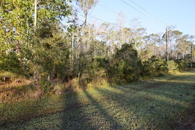 Excellent opportunity to own this 8.8 acre commercial parcel on - photo 19