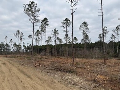 Lake Acreage For Sale in Carriere, Mississippi