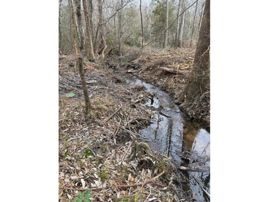 Partially cleared land offering a nice balance of open space and - photo 3