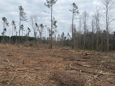 Partially cleared land offering a nice balance of open space and - photo 9