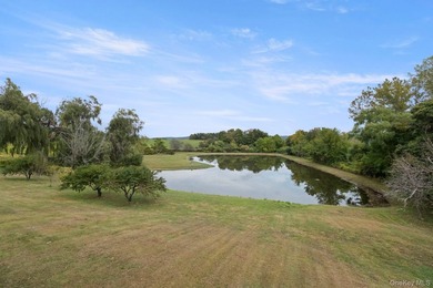 Discover a truly unique Millbrook estate set on over 6 acres - photo 32