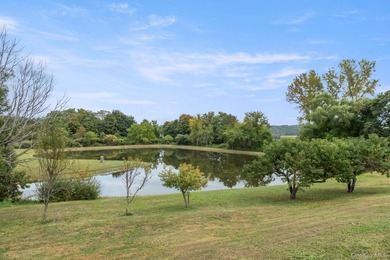 Discover a truly unique Millbrook estate set on over 6 acres - photo 33