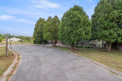 Discover a truly unique Millbrook estate set on over 6 acres - photo 35