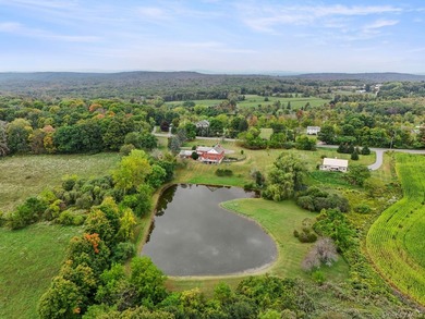 Discover a truly unique Millbrook estate set on over 6 acres - photo 36