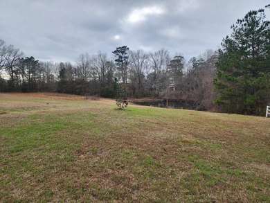 Welcome to this beautiful 3 bedroom, 2 full bath, 2 half bath - photo 2