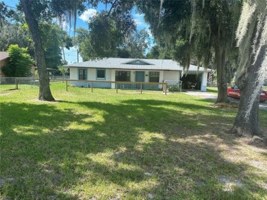 Lake Home For Sale in Lake Panasoffkee, Florida