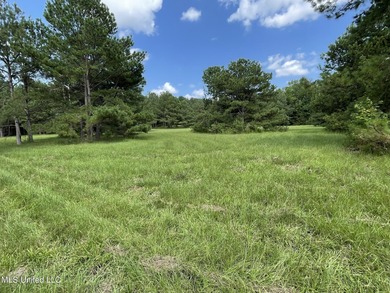 (private lake, pond, creek) Acreage For Sale in Union Mississippi