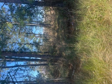 Great spot here for a Camp or weekend getaway. Short boat ride - photo 3