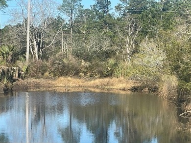 Great spot here for a Camp or weekend getaway. Short boat ride - photo 4