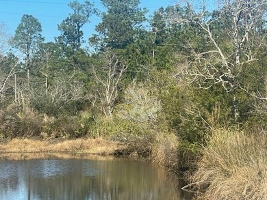 Great spot here for a Camp or weekend getaway. Short boat ride - photo 5