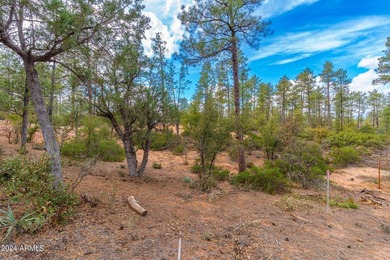 BACKING NATIONAL FOREST IN THE RIM GOLF CLUB! Nestled within the - photo 8