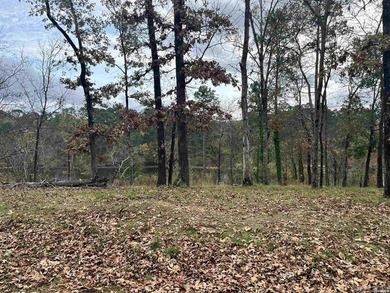 Are you looking for a lake front property that's out of city - photo 11