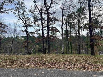 Are you looking for a lake front property that's out of city - photo 12
