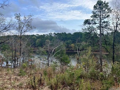 Are you looking for a lake front property that's out of city - photo 13
