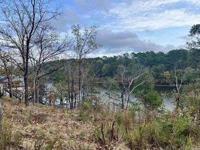 Are you looking for a lake front property that's out of city - photo 15
