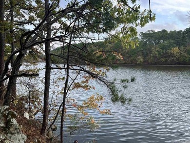 Are you looking for a lake front property that's out of city - photo 16
