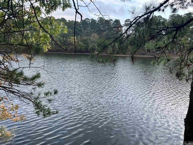 Are you looking for a lake front property that's out of city - photo 17