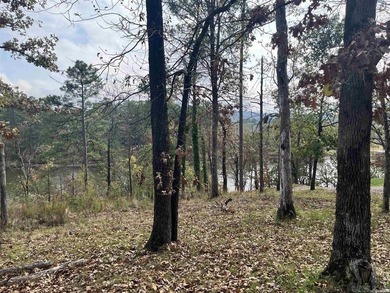 Are you looking for a lake front property that's out of city - photo 20