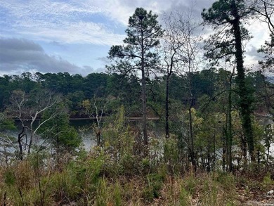 Are you looking for a lake front property that's out of city - photo 21