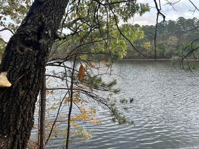 Are you looking for a lake front property that's out of city - photo 23