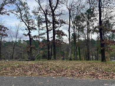 Are you looking for a lake front property that's out of city - photo 24