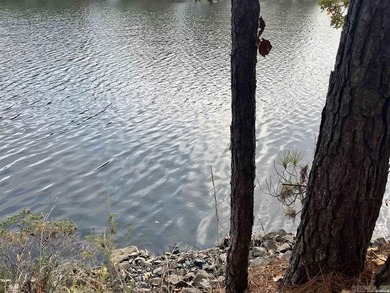 Are you looking for a lake front property that's out of city - photo 25