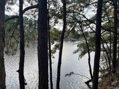 Are you looking for a lake front property that's out of city - photo 26