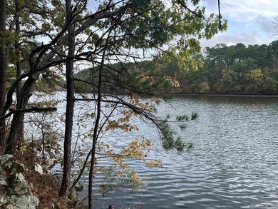 Are you looking for a lake front property that's out of city - photo 29