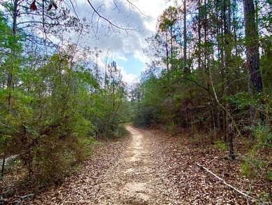 Pearl River Acreage For Sale in Carriere Mississippi