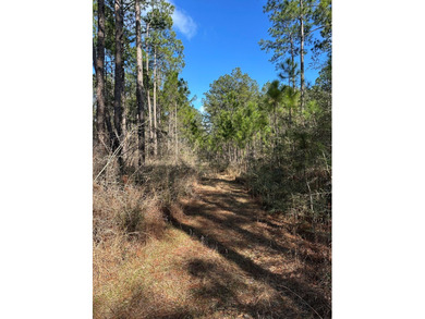 Beautiful secluded property around 8 miles Southeast of - photo 2