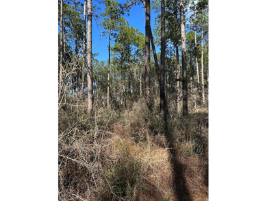 Beautiful secluded property around 8 miles Southeast of - photo 3