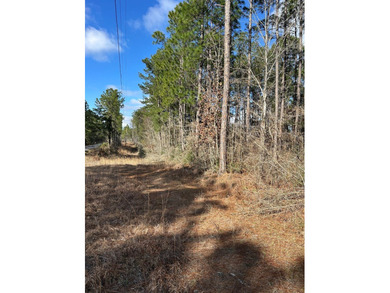 Beautiful secluded property around 8 miles Southeast of - photo 4
