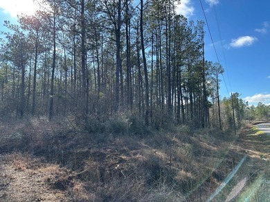 Beautiful secluded property around 8 miles Southeast of - photo 5