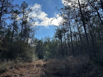Beautiful secluded property around 8 miles Southeast of - photo 6