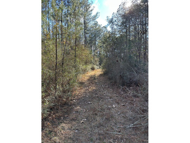 Beautiful secluded property around 8 miles Southeast of - photo 8
